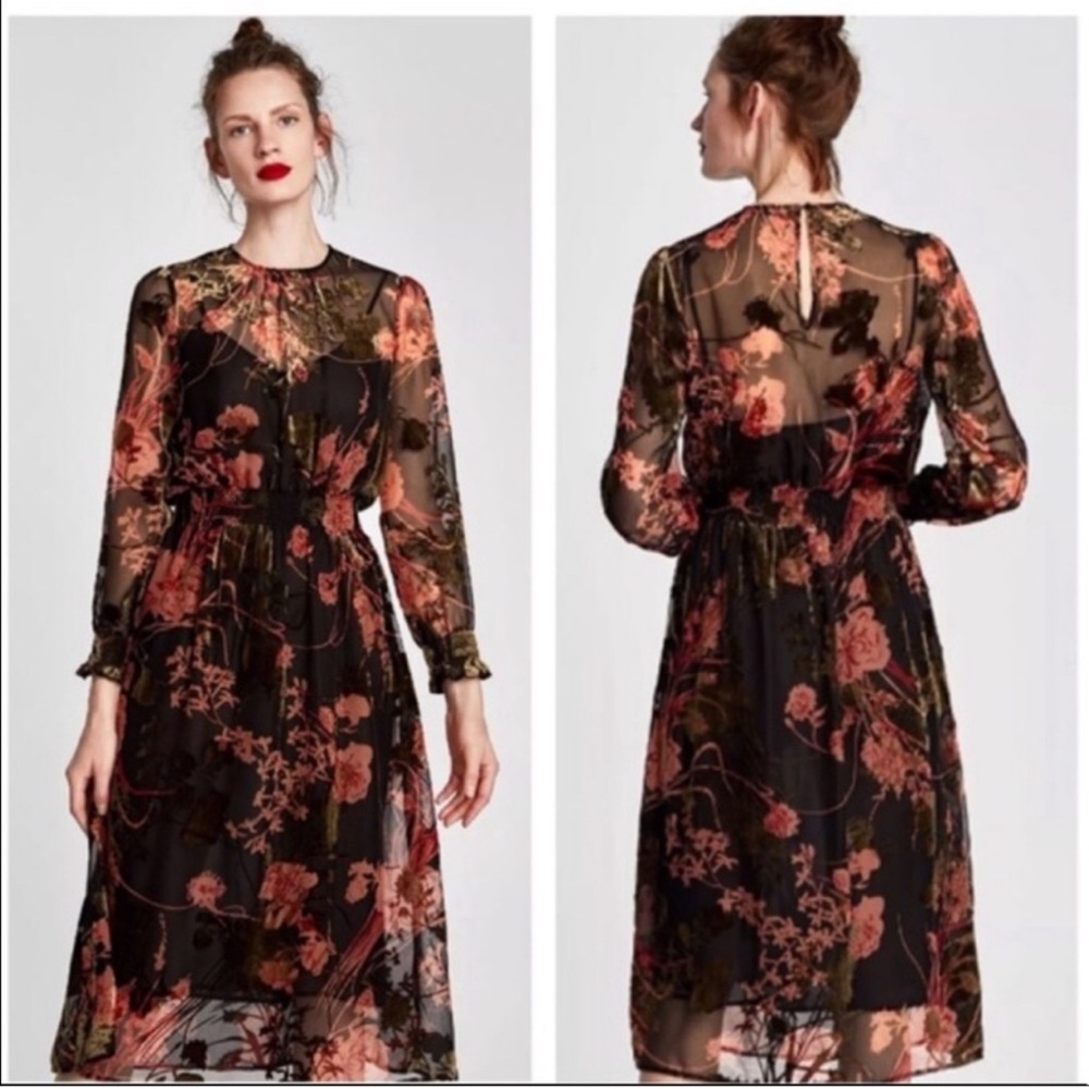 Zara velvet Floral Black midi Dress bloggers favorite